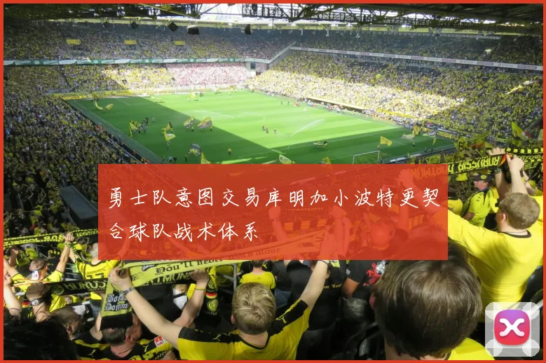 勇士队意图交易库明加小波特更契合球队战术体系
